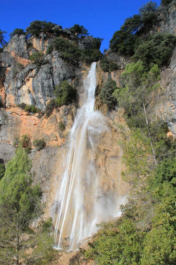 Alojamiento Aguasblanquillas Coto Rios Dış mekan fotoğraf