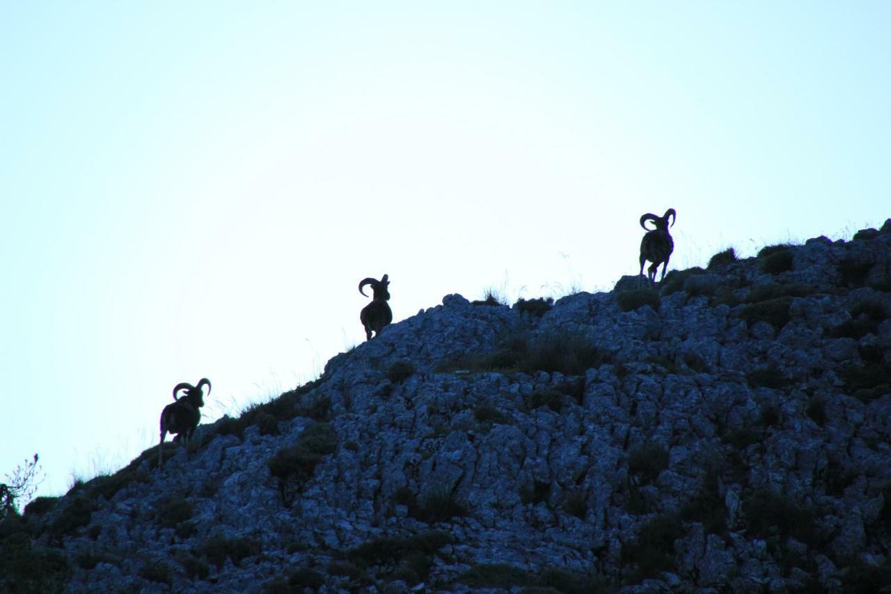 Alojamiento Aguasblanquillas Coto Rios Dış mekan fotoğraf