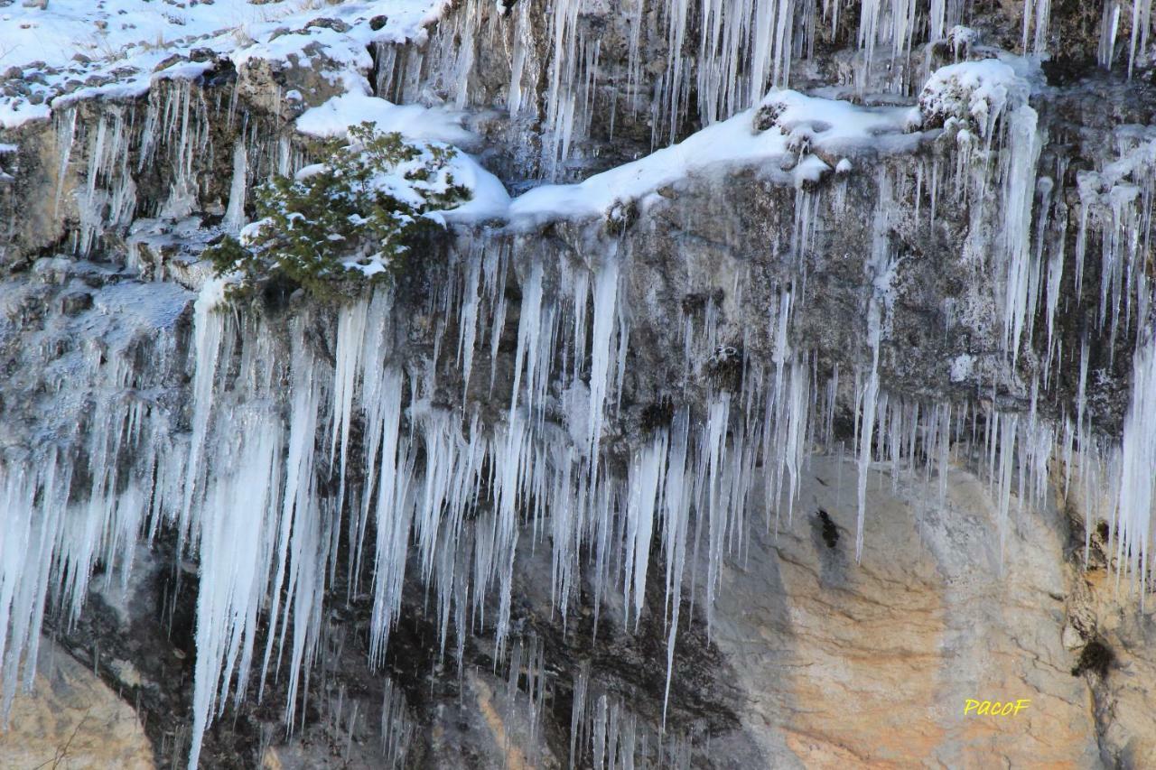 Alojamiento Aguasblanquillas Coto Rios Dış mekan fotoğraf