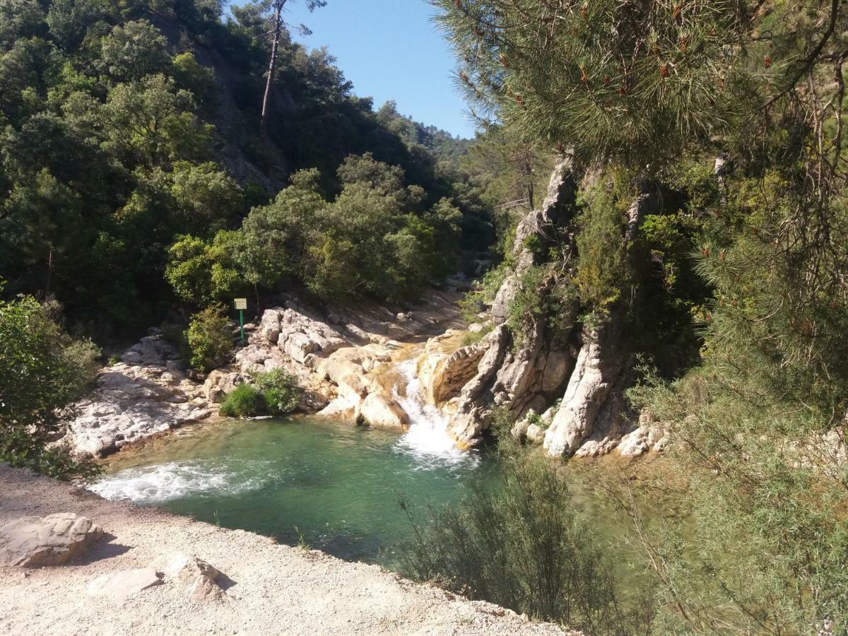 Alojamiento Aguasblanquillas Coto Rios Dış mekan fotoğraf