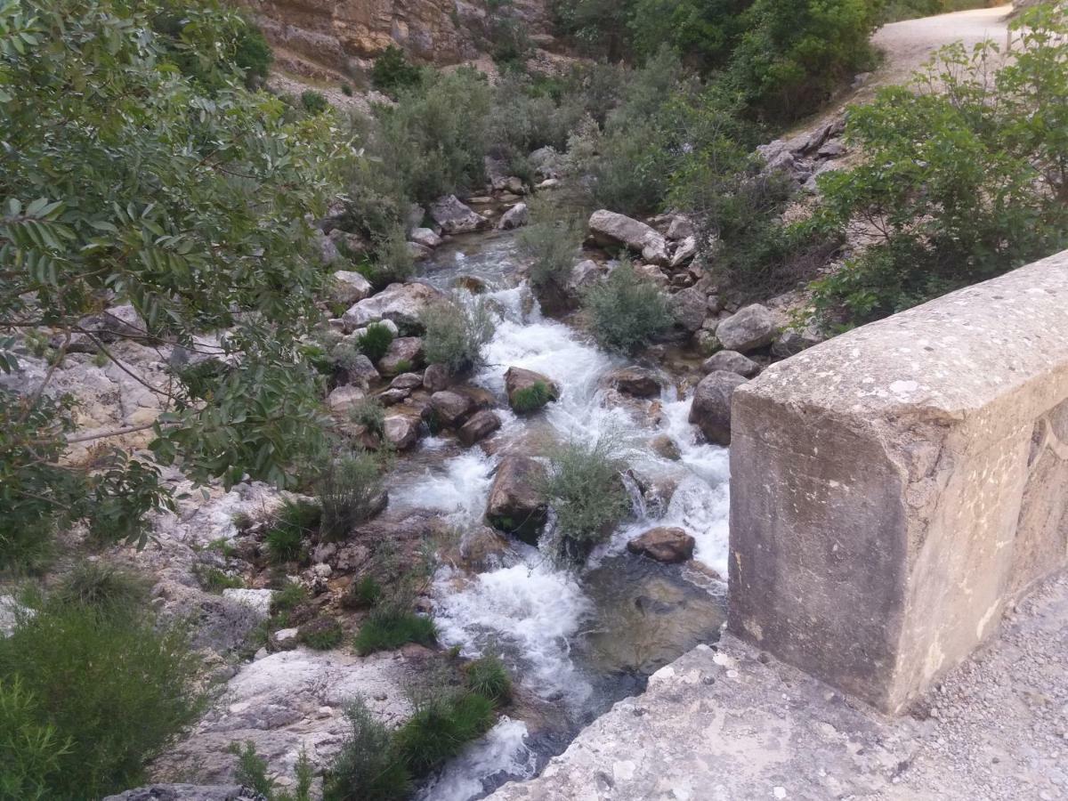 Alojamiento Aguasblanquillas Coto Rios Dış mekan fotoğraf