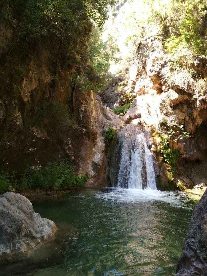 Alojamiento Aguasblanquillas Coto Rios Dış mekan fotoğraf